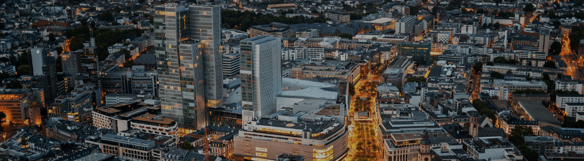 ds-germany-min (1).png