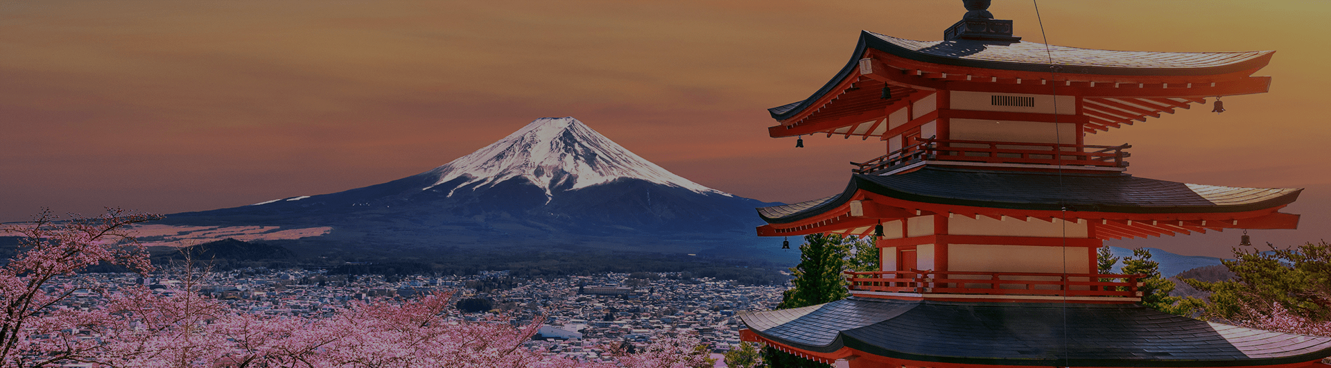 ds-japan-tokyo-min-ds.png